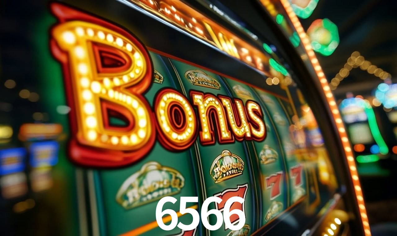 6566