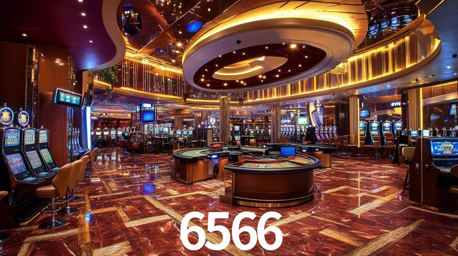 6566