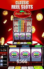 Flash Promotion 6566