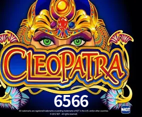APP oficial da 6566 para mobile